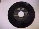 DEL RAYS - Night Prowl - garage SOUL surf R & B 45 - 1964