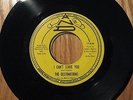 RARE SWEET SOUL 45  THE DESTINATIONS  I CAN'T LEAVE YOU  ANDO 114  MINTY