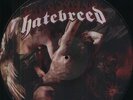 Hatebreed - Divinity Of Purpose (Picture Disc Lp [Vinyl New]