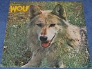 DARRYL WAY'S WOLF Canis Lupus SCARCE ORIG UK 1973 Deram EX+ LP - SUPERB SOUND.