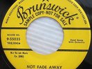 the CRICKETS Not Fade Away Oh Boy YELLOW LABEL PROMO Brunswick Rockabilly CC64