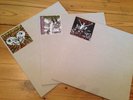 Yuppicide - Fear Love / Shinebox 3 Testpressungen