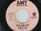 Northern Soul 45 - Mighty Sam - Papa True Love - Amy - mp3