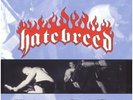 HATEBREED 