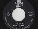 Northern/Deep Soul 45 - Opels - Who Are You? - Wow - mp3 - unknown?