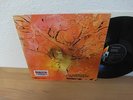 MOTHERHOOD SAME LP IN 1970 GERMAN KRAUT. MONSTER