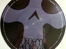 Steal This Album - System of a Down 2x LP Picture Disc OOP