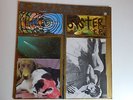 Vinyl LP Sonic Youth 