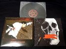 free shipping RYAN ADAMS Rock N Roll LP Vinyl