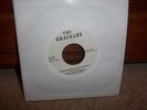 THE GRACKLES Who Needs Wildlife Anyway punk 45 kbd Rare STARING DOWN THE BARREL