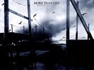 More Than Life - Brave Enough To Fail 7