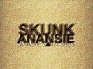 Skunk Anansie - Smashes & Trashes  2009 [Vinyl New]