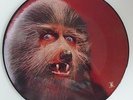 Warren Zevon ?– Werewolves Of London pic picture disc highly collectable