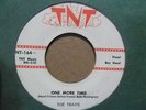 THE TRAITS One More Time / Don't Be Blue TNT Rockabilly 45 HEAR