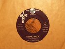 THE ATTRACTIONS Think Back/You Don't Know Boy? JUNE BUG 45 RARE SOUL - NM *