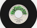 Rockabilly Reese Shipley 45 