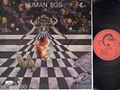 HUMAN EGG s/t RARE ORIG. LIZARD MASSIERA TORELLI COSMIC PROG DISCO LP ?
