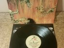 Slayer Hell Awaits lp vinyl MX 8020 1st press Insert Awesome copy EX/NM wax