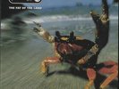 The Fat Of The Land [VINYL], 0634904012113, Prodigy