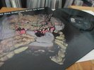BLACK CAT BONES Barbed Wire Sandwich LP Orig BLUES PSYCH PROG 1970