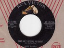 Joey Castle That Ain't Nothing But Right RCA 45  1967 Rockabilly Rocker