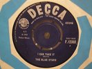 The Blues Stars - I Can Take It FREAKBEAT MONSTER MOD R&B