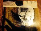 Melvins MACKIE limited vinyl TOOL jesus lizard nirvana