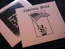 RASPBERRY BULBS Deformed Worship LP hardcore punk Bone Awl rudimentary peni NEW