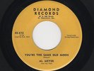 Starday Custom C&W Boogie AL MEYER You're the Same Old Moon DIAMOND HEAR BOTH