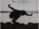 Eddie Vedder Into the Wild [Original Soundtrack] Vinyl LP New