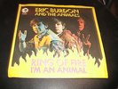 Single : ERIC BURDON & THE ANIMALS - Ring of Fire