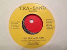 VERY RARE SOUL 45 -NIGHTCHILL – HOP SKIP AND JUMP/I WANT YOUR LOVING ORG