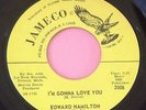 Edward Hamilton - Detroit Doulbe Sider  -  LISTEN