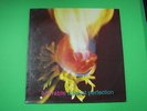 Disco Vinilo ADORABLE  against perfection - año 1993 -buen estado