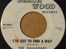 The Gallahads 