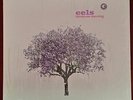 eels tomorrow morning Lp+7