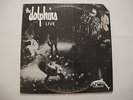 THE DOLPHINS Live RARE 1980 LA GARAGE SURF PUNK 12