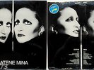 MINA CATENE LP 1984 SIGILLATO  SEALED