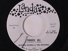 ELMORE MORRIS & SPINNERS: Paradise Hill / She's A Wonderful One 45 (dj, wol) Vo