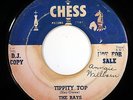 HEAR Rays 45 Tippity Top/Moo-Goo-Gai-Pan CHESS 1613 doo wop R&B rocker promo