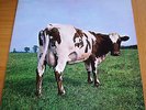 PINK FLOYD LP ATOM HEART MOTHER. UK 1970 ORIGINAL 1ST PRESS HARVEST SHVL 781.EX.