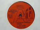 Chuck Wood - I've Got My Lovelight Shining 1968 UK 45 BIG T DEMO