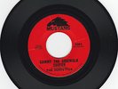 Rare Surf 45 Surfettes Carol Conners 