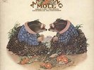 Matching Mole Matching Mole - 1st UK vinyl LP album record S64850 CBS 1972