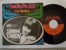SHARON TANDY Fool On The Hill  7