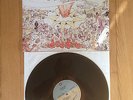 Green Day - Dookie Vinyl LP (linkin park billy talent the offspring blink 182)