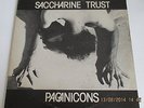 SACCHARINE TRUST '' PAGAN ICONS '' 1981 SST ORIGINAL PUNK 12'' WITH 8 TRACKS