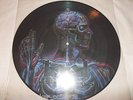 TOOL - LATERALUS  PROMO LP Picture Disc Vinyl  VERY HARD TO FIND