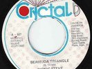 Bionic Steve - Bermuda Triangle - EXCELLENT