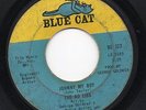HEAR - THE AD-LIBS - JOHNNY MY BOY - USA BLUE CAT 65 RARE NORTHERN MOD BRILL